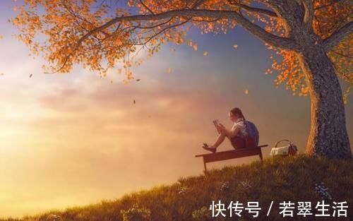 托尔斯泰&经典书籍推荐,值得一读再读的4本大师巅峰之作