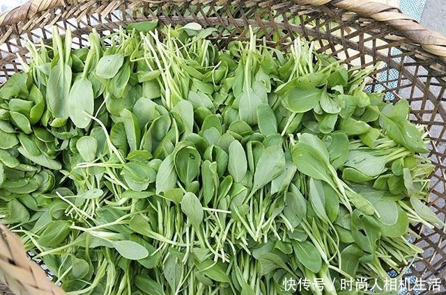 肉圆子|秋天喝汤,西红柿冬瓜靠边站,用它煮一锅,营养又鲜美,我家常喝