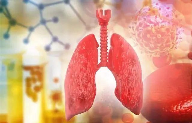 共性|寿命长的男性,往往有5个“共性”,若你如此,多少人羡慕不来