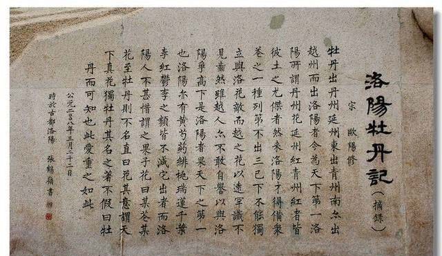 无此|归到江南无此花:唐代牡丹何时传到南方