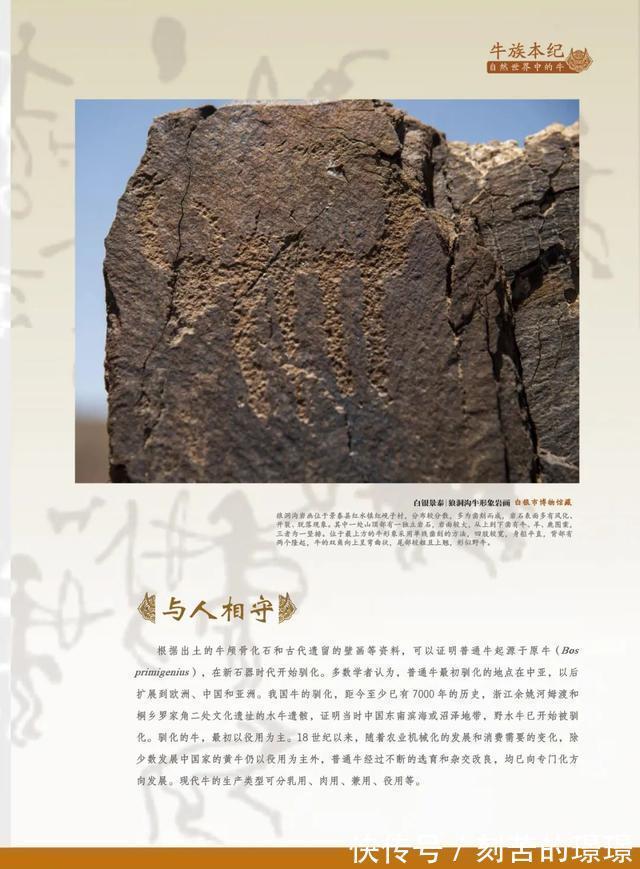 生肖|“牛转乾坤”辛丑牛年新春生肖文物图片联展