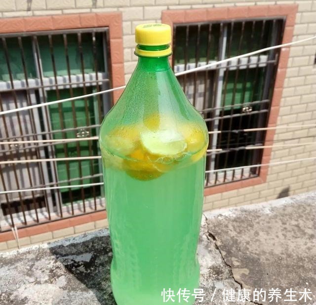 不敢用淘米水了，浇完花就死，土里都是虫！不敢用淘米水了，浇完花就死，土里都是虫！