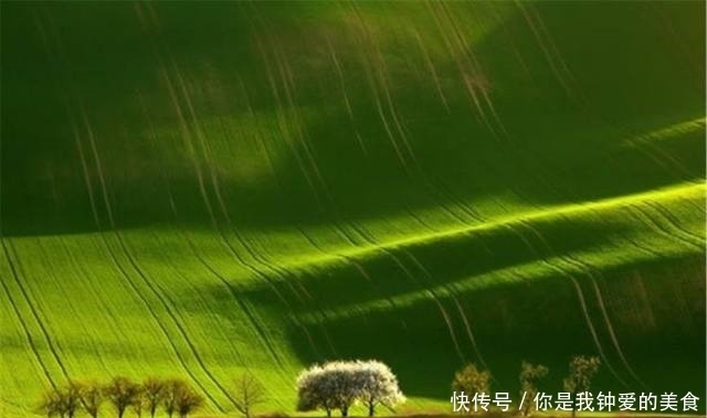 无憾|百年难得一见的奇景,能目睹一回就此生无憾了