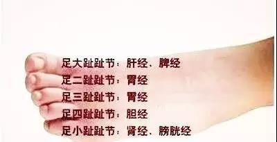 公孙穴|每晚睡前坚持拉足背,让你活到98,比走一万步都管用