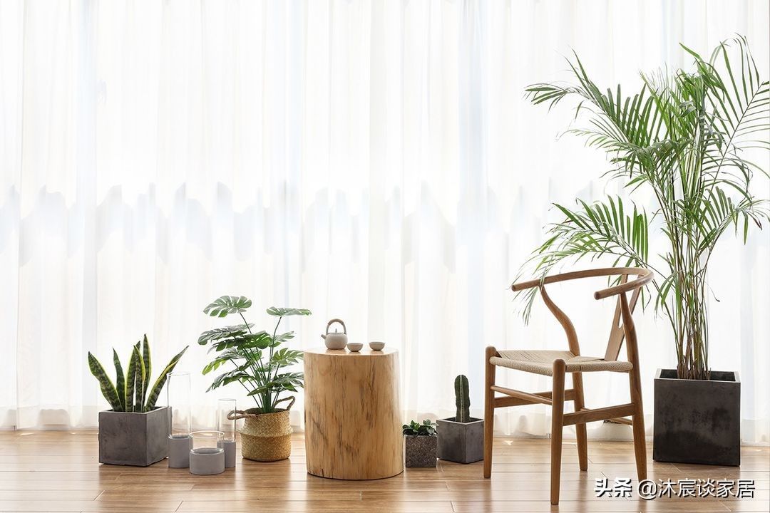 陈海|第二次装修，她选择了日式原木风，这种简单又治愈的氛围让人心安
