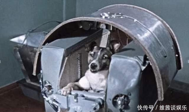 苏联曾将一只小狗送进太空，63年过去了，现在仍在地球轨道流浪
