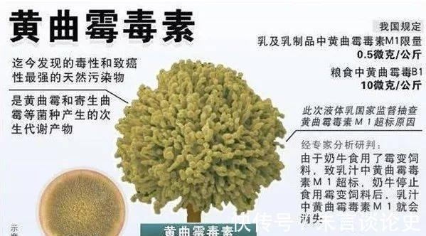 存放|馒头存放冰箱，超过3天，会产生黄曲霉毒素吗？今天告诉你真相