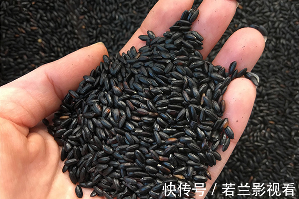气血|黑米能补气血降血糖?黑米更适合糖尿病患者吃?专家说法的确中肯