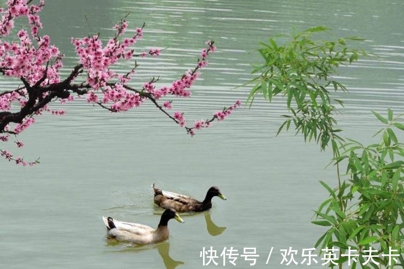 淡妆浓抹总相宜!苏轼最经典的10首诗排行,《惠崇春江晚景》仅第四,前三都是精品