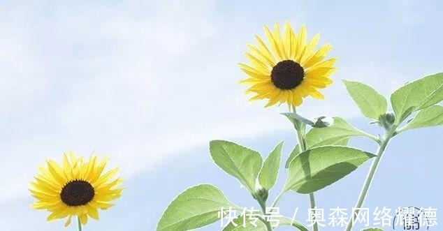 梁实秋|慎之又慎,则无灾无难