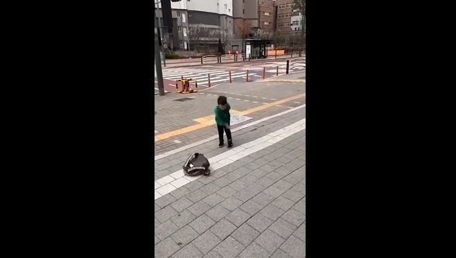 书包|4岁男孩不想上学,竟怒摔书包,下一秒向命运低头,网友:很男人