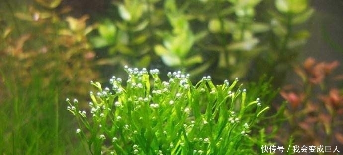 干谒|唐代的自荐信干谒诗:成绩很重要,但坚持努力更重要