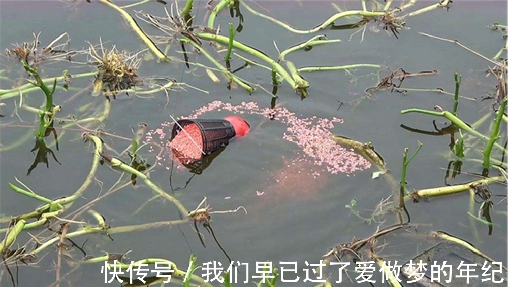 冬季钓鱼,4不宜3不钓,避开这些“坑”,冬钓再也不走空!