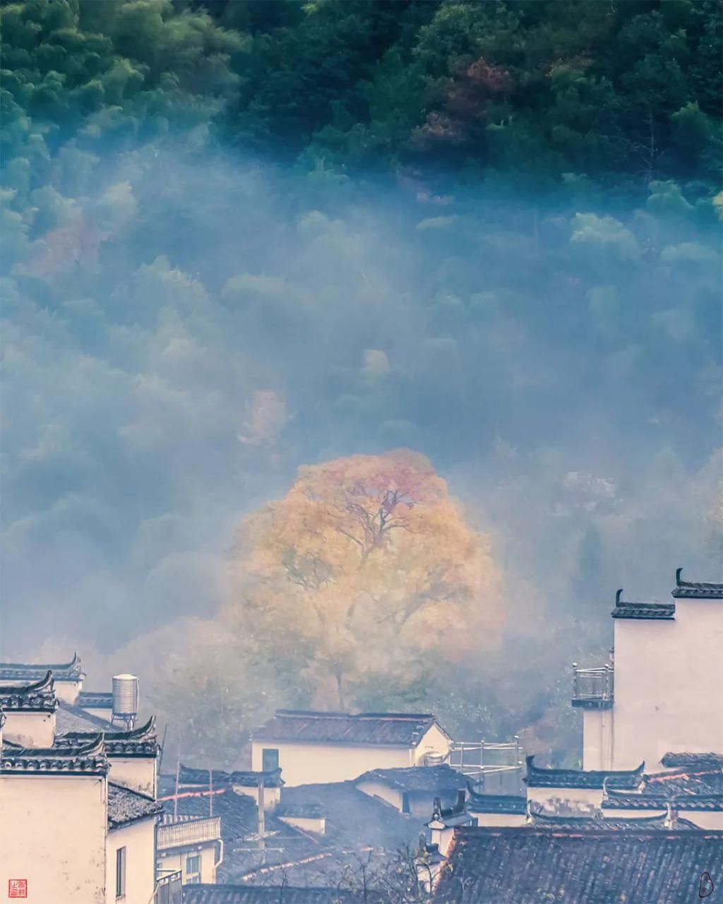 徽州|夏天成了故事 秋天已成风景 秋色徽州等你来