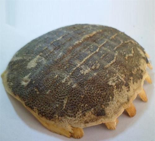 食材|养生不可少的食材，建议常吃，预防便秘，滋养身心，越吃越年轻