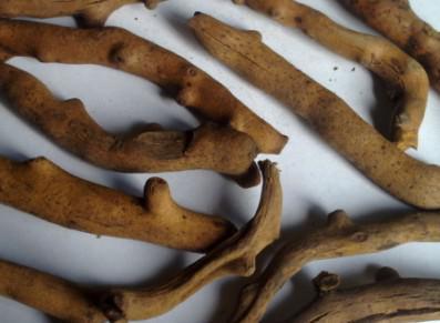 漱口|牙痛、牙开裂,1味草药漱口2天就好,比看牙医还好使,早知早好