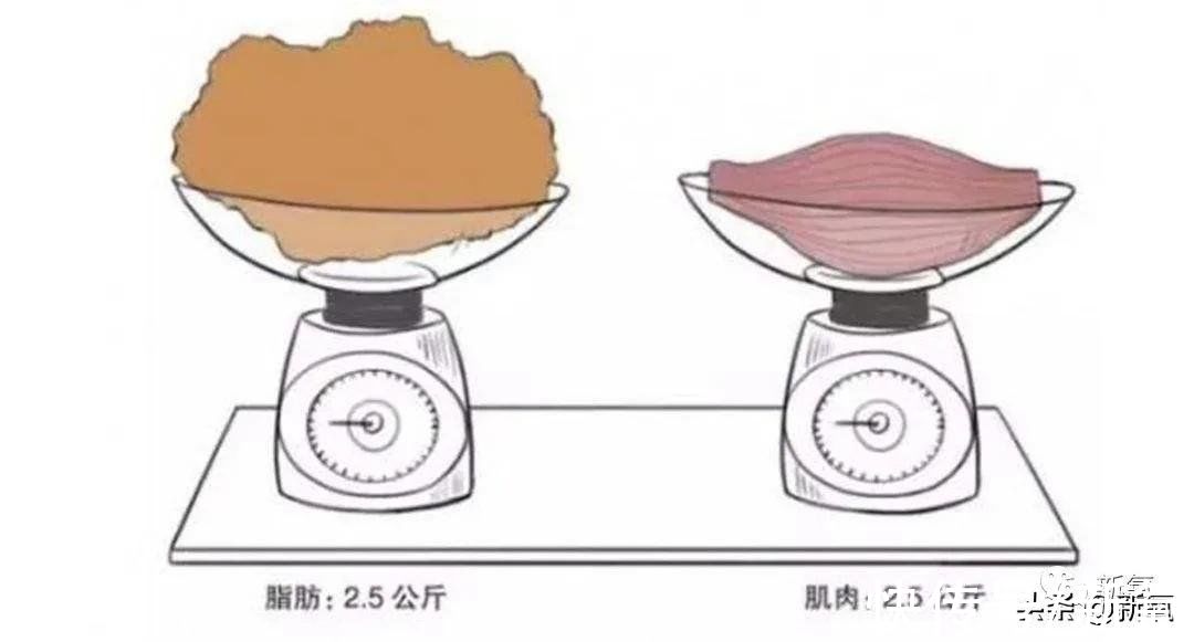 美修斯|比胶原蛋白流失更残酷的，是每年以2%速度消失的肌肉