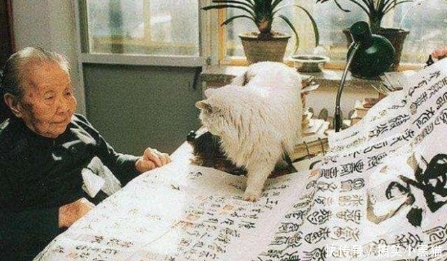  涂鸦|冰心墓碑上被孙子写上“教子无方, 枉为人表”八个大字! 到底为啥