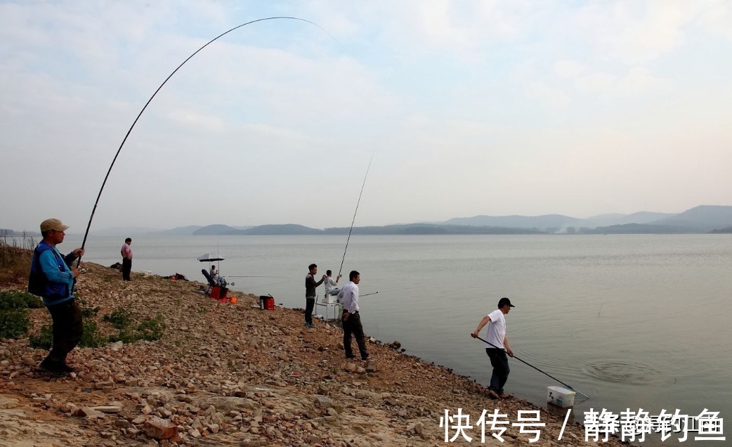 嫩玉米挂钩，再配合“带漂远投”的技巧，人群中“抢鱼”特容易