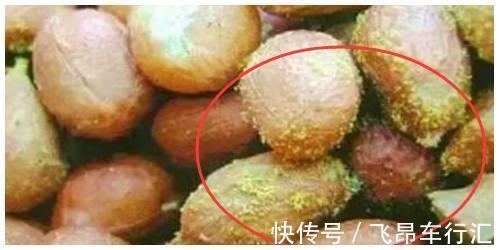 坚果|马上停止吃这4种食物,有毒沸水都煮不死,一个坏了全包都扔掉!