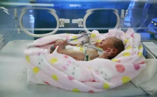 心机|10岁女儿“耍心机”让妈妈摔倒早产,爸爸一巴掌让女儿无地自容