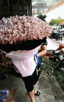 |搞笑GIF:小姐姐,你该减减肥了吧