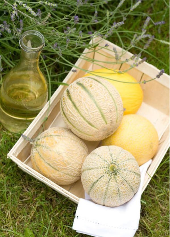 西瓜|立秋以后,“少吃二瓜,多食三白”,做好这四件事,秋冬少生病