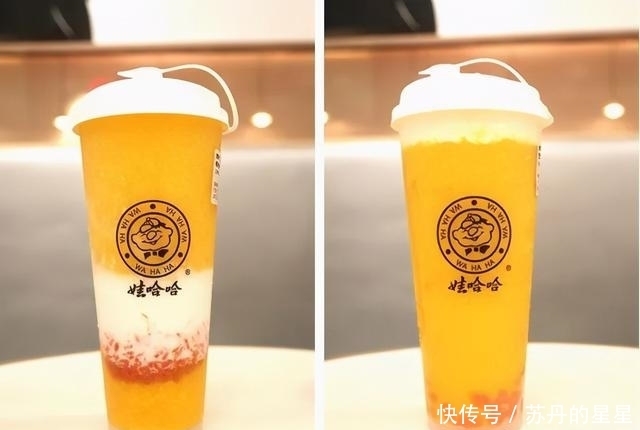 奶茶|我们笑着去了娃哈哈奶茶店,最后哭着回来了…