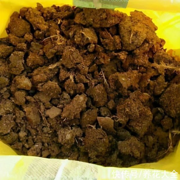 这5种动物粪便，居然是养花神器，越用花卉长得越旺