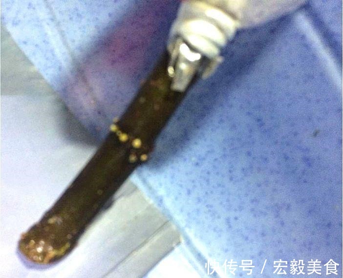 天竺葵|3种懒人扦插法,插啥都活,大白根蹭蹭冒!