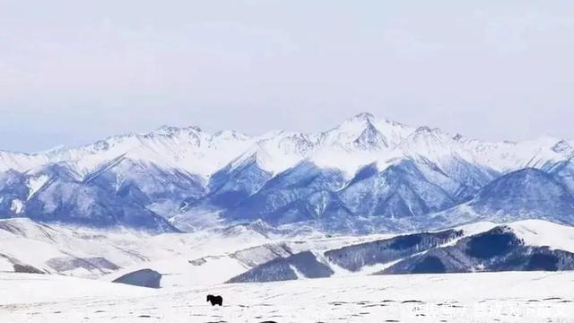 青海一著名景区暂时关闭通告!