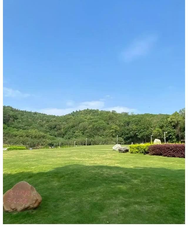 九連真人|樂隊の夏天第一季觀后感