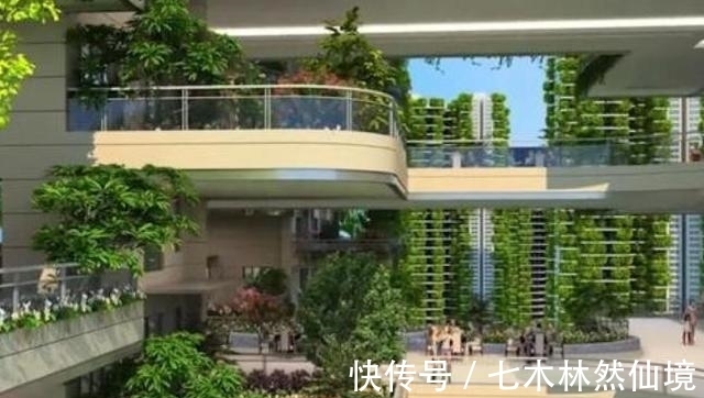 住房|电梯房已成过去式？现已出现第4代住房，带给你全新震撼体验！