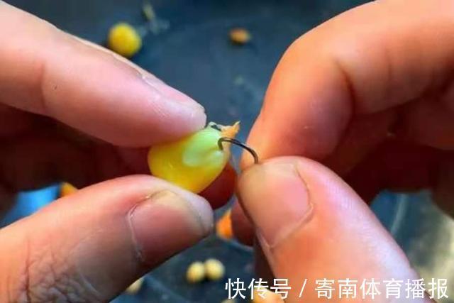 别总嫌天气太热,那是你没试过这鲤鱼饵,老钓手:比商品饵更管用