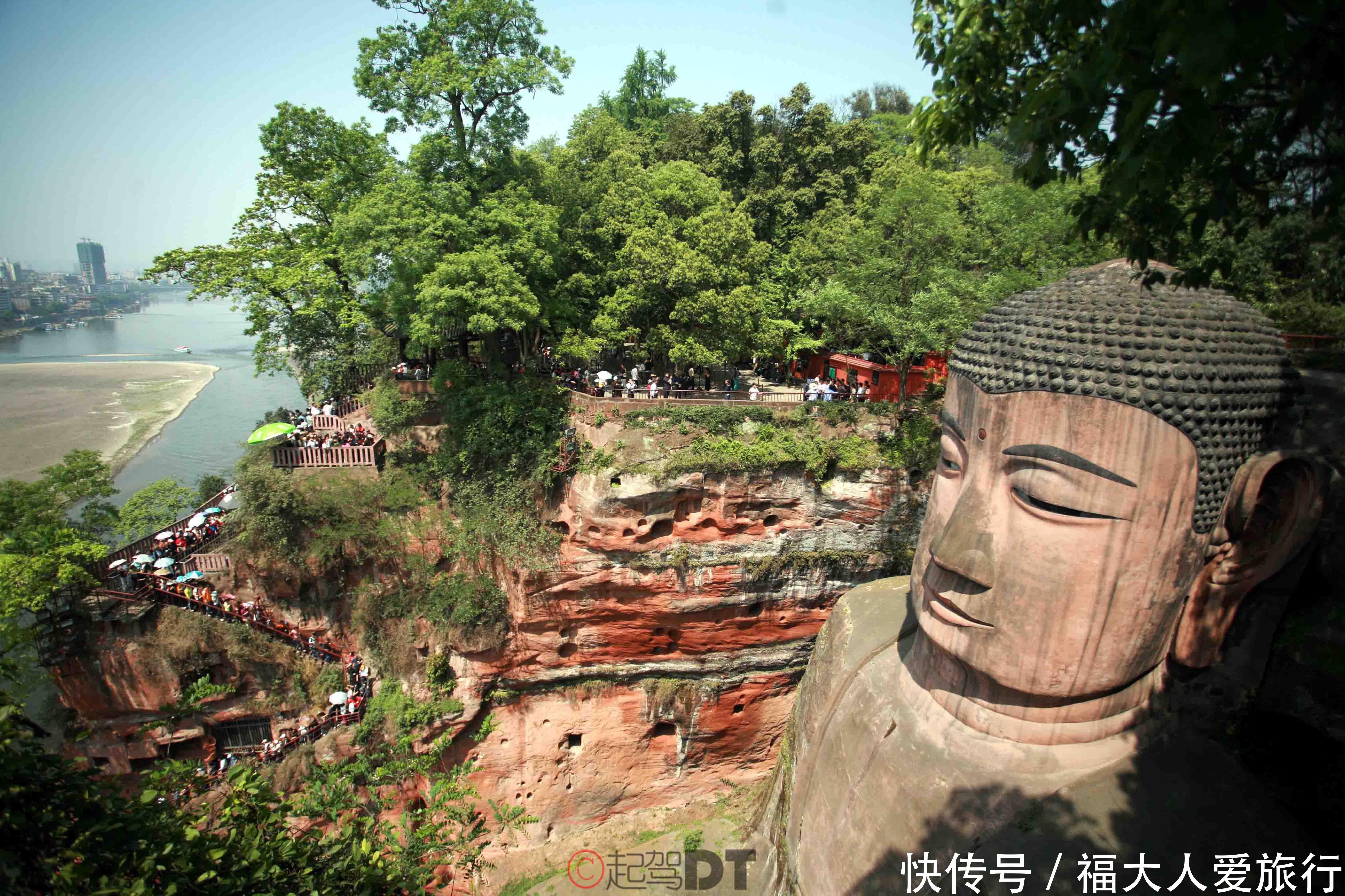 金顶 杜鹃 采茶女的混搭之旅|再上峨眉| 采茶