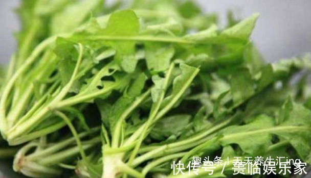 马齿苋|女性不想老得快,推荐常吃4种食物,保护皮肤,美容抗衰老