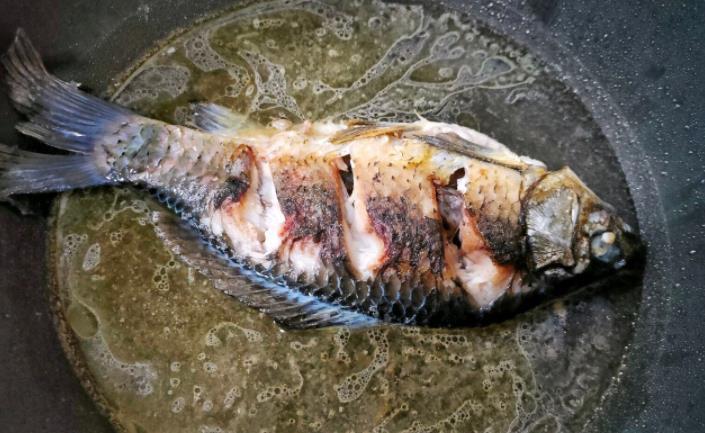 白萝卜|鲫鱼汤想要做的奶白无腥味,看我下面的做法,浓郁有营养