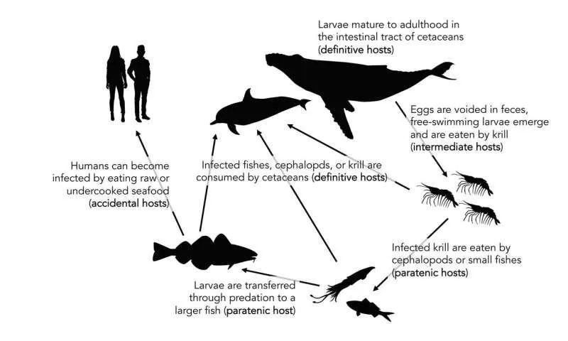 2020年十大科学发现