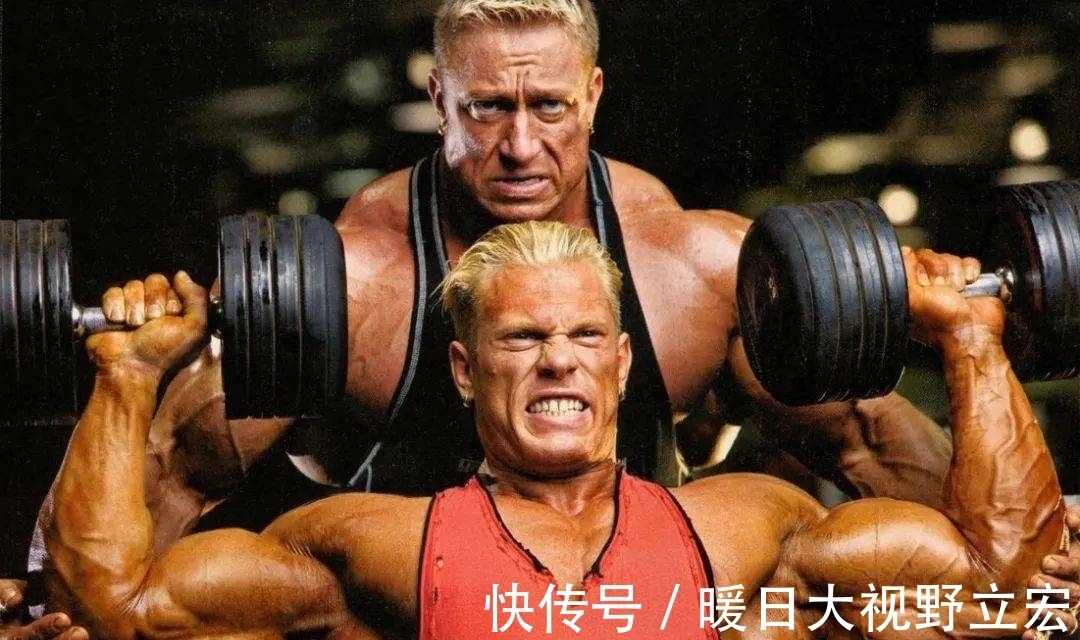 补充蛋白质|锻炼身体的时候，少不了力量锻炼，新手锻炼更应循序渐进