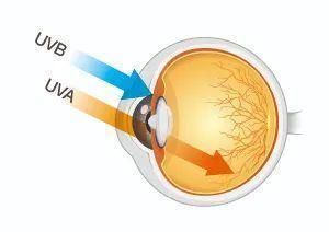 部位|很多人全身防晒，却漏掉了这个部位，后果多严重你知道吗？