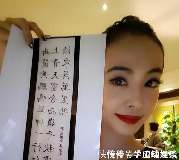 书法艺术$蔡依林晒书法,规整有道,字字有法度,网友却大呼:“太意外了”
