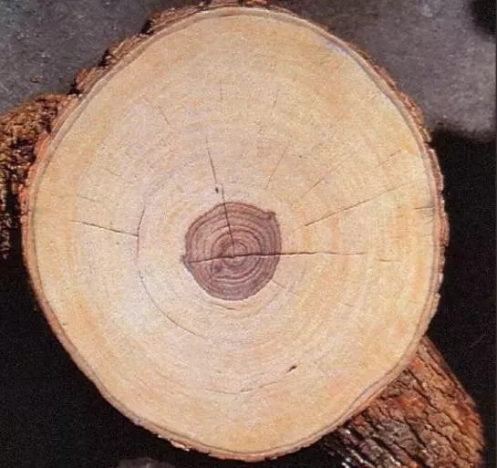 中国|马未都黄花梨,本身就不是一般人能够拥有