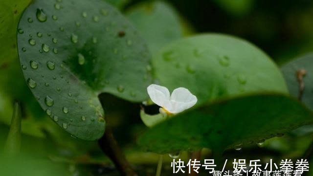 爱情|5天后，缘分天定，桃花入命，放胆追求，永不分离，爱一人到终老