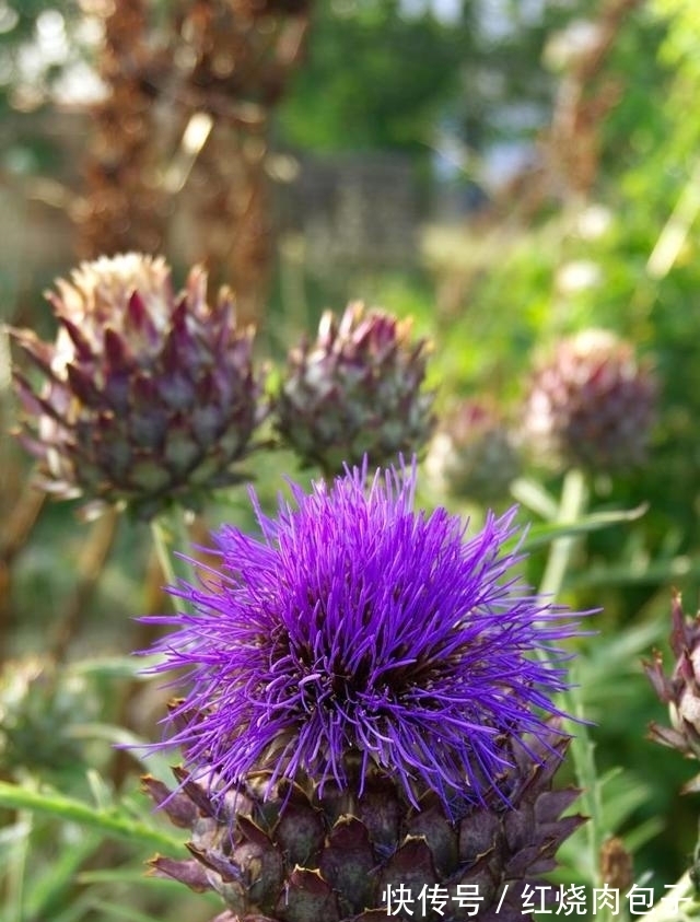 旧爱|思念不减,良缘天赐,真爱降临,不再犹豫,与旧爱重温从前