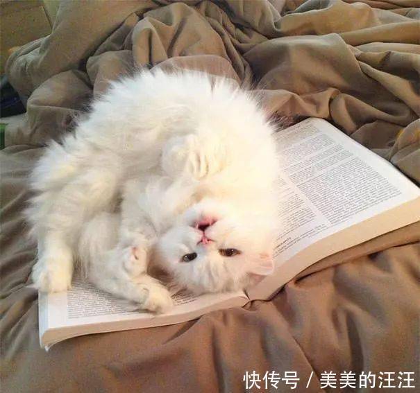 看什么书看书,难道我还没有书好看吗