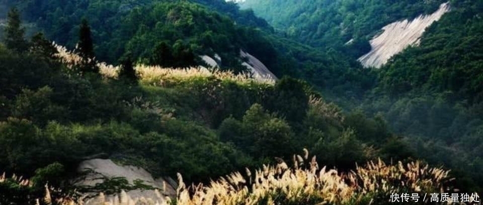 家国情怀!王安石很有气势的一首诗,短短的28个字,却是胜过长篇大论的说理