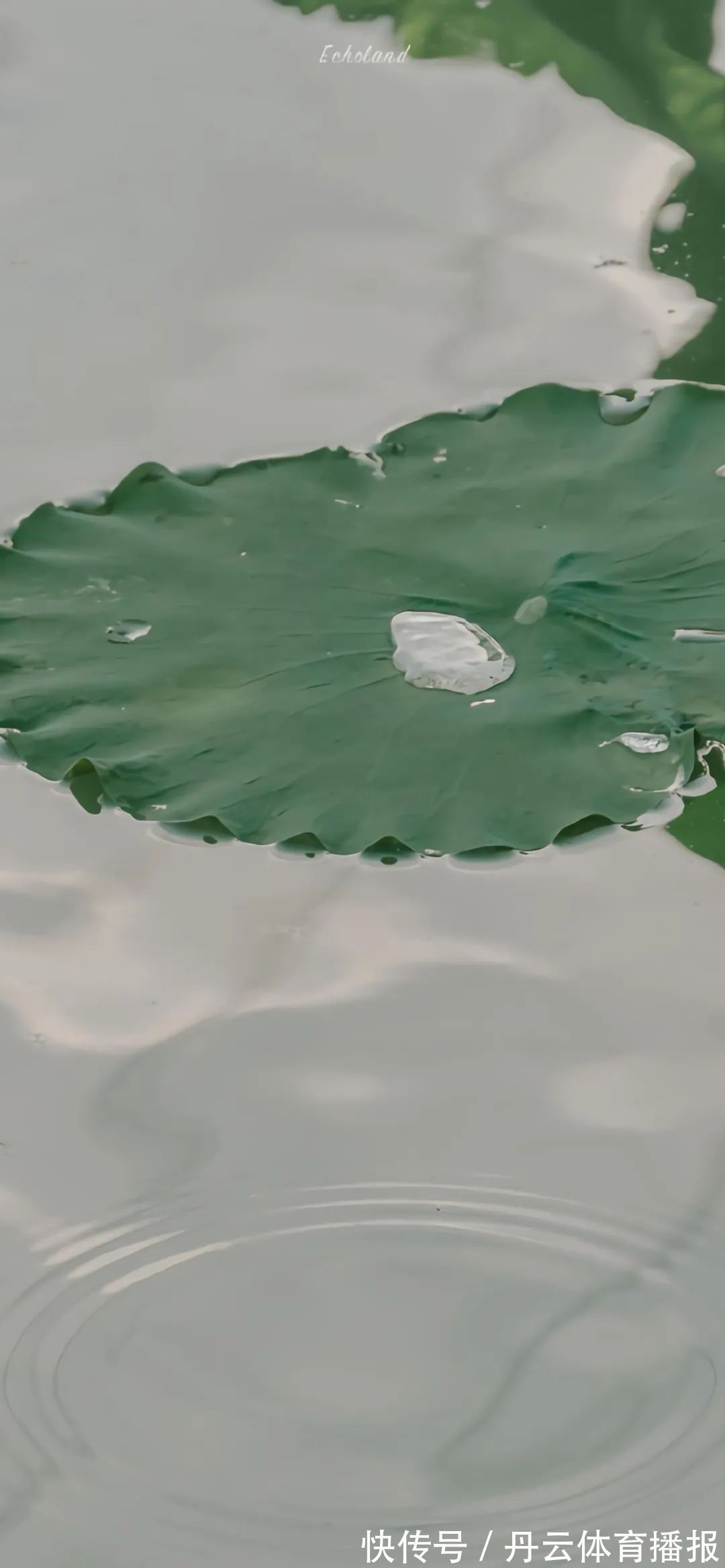 你的名字|神仙·壁纸丨一川烟草,满城风絮,梅子黄时雨