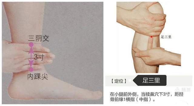 脾胃不好|脾胃不好百病尤生,健脾食疗方坚持给孩子做起来吧