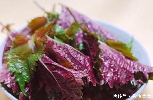 炖鱼时,聪明人从不放料酒和啤酒,加点它,鱼汤更浓白还无腥味