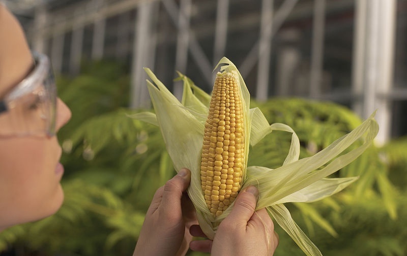 知识|20个冷知识:听起来不切实际,却早已得到证实的奇怪知识?